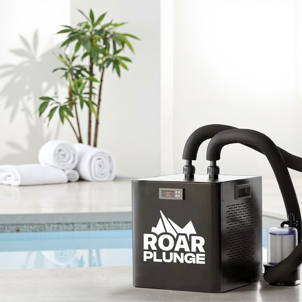 Roar Nova - Image 4